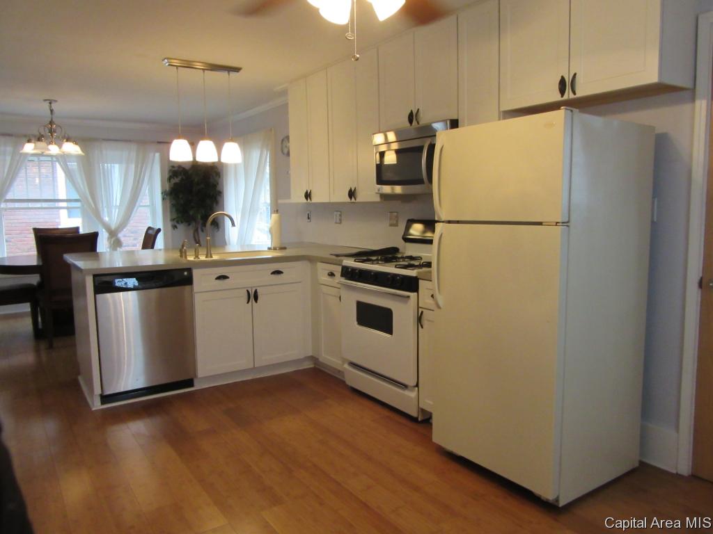 425 West Cook Street Springfield, IL 62704 - Photo 9 of 18