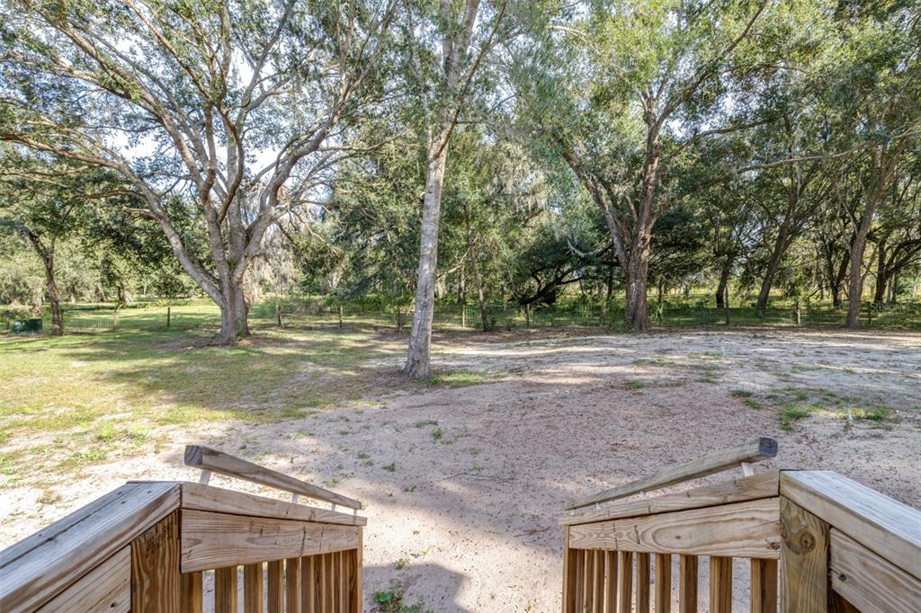 892 Southwest 124th Lane Webster, FL 33597 - Photo 17 of 29 a view of a yard with large trees