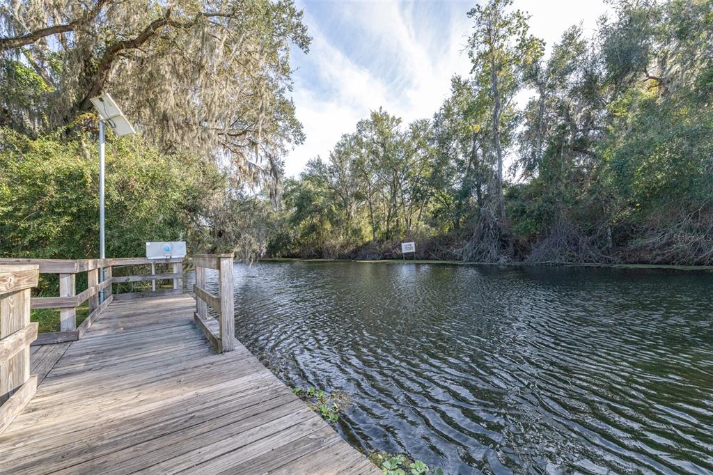 892 Southwest 124th Lane Webster, FL 33597 - Photo 29 of 29 a view of river and deck