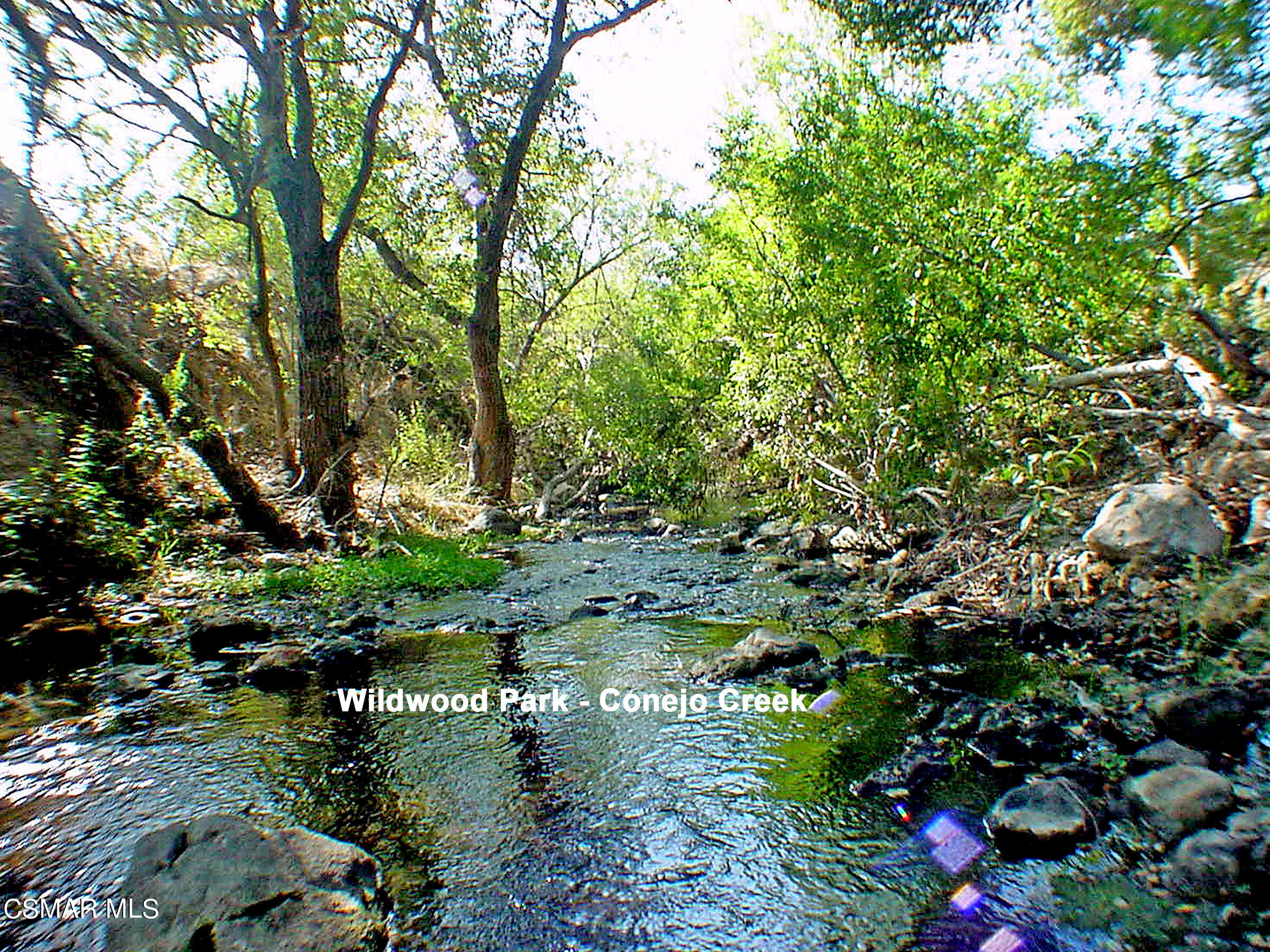 3092 Big Sky Drive Thousand Oaks, CA 91360 - Photo 23 of 66 Creek view 1a