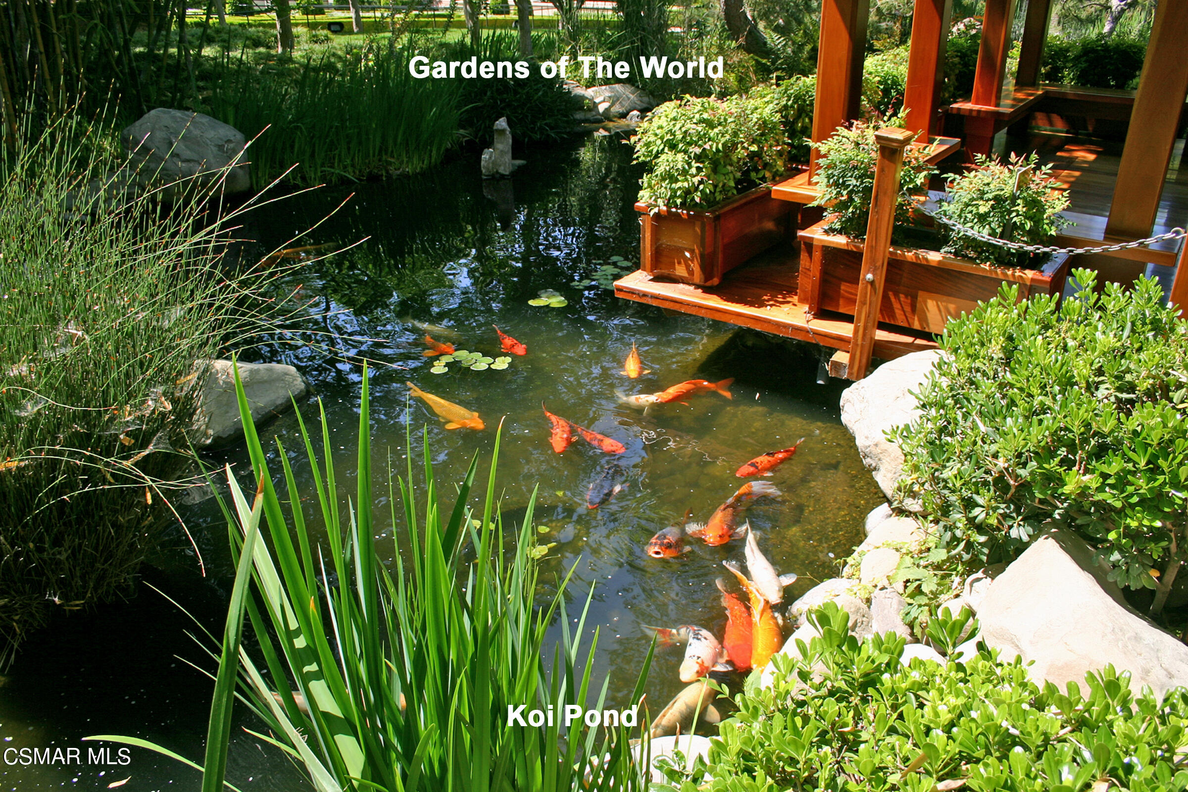 3092 Big Sky Drive Thousand Oaks, CA 91360 - Photo 45 of 66 a view of backyard of house with green space
