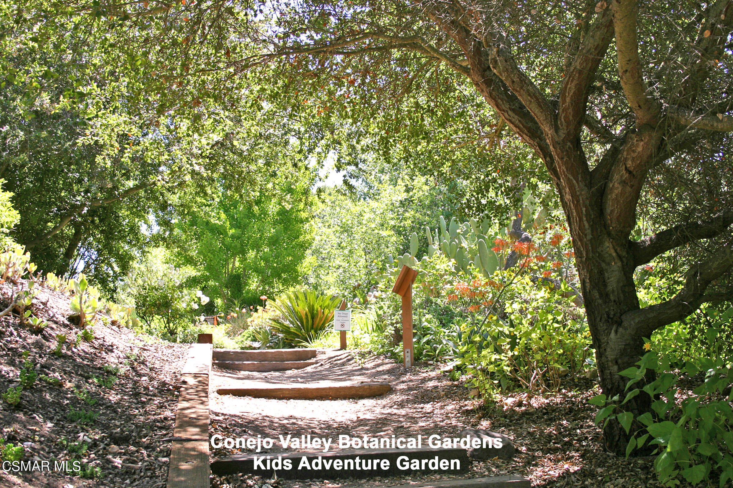 3092 Big Sky Drive Thousand Oaks, CA 91360 - Photo 59 of 66 20