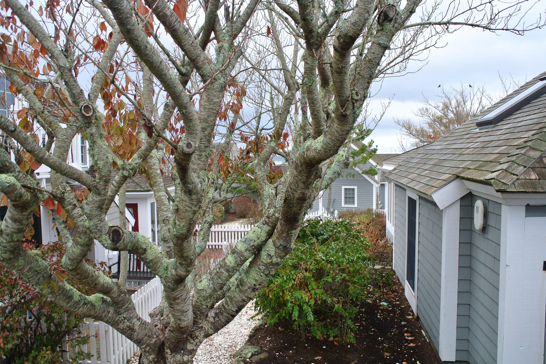 5 Barneys Avenue Mashpee, MA 02649 - Photo 13 of 14 DSC_1351