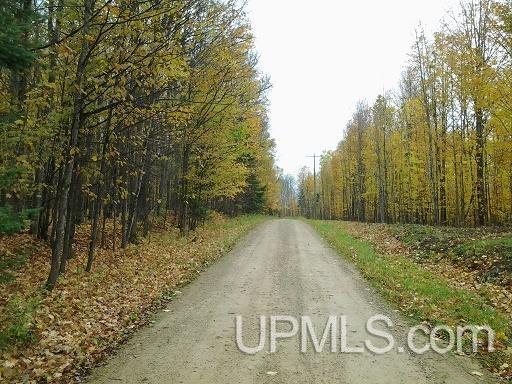 Tbd Whitefish Road Chatham, MI 49816 - Photo 19 of 30
