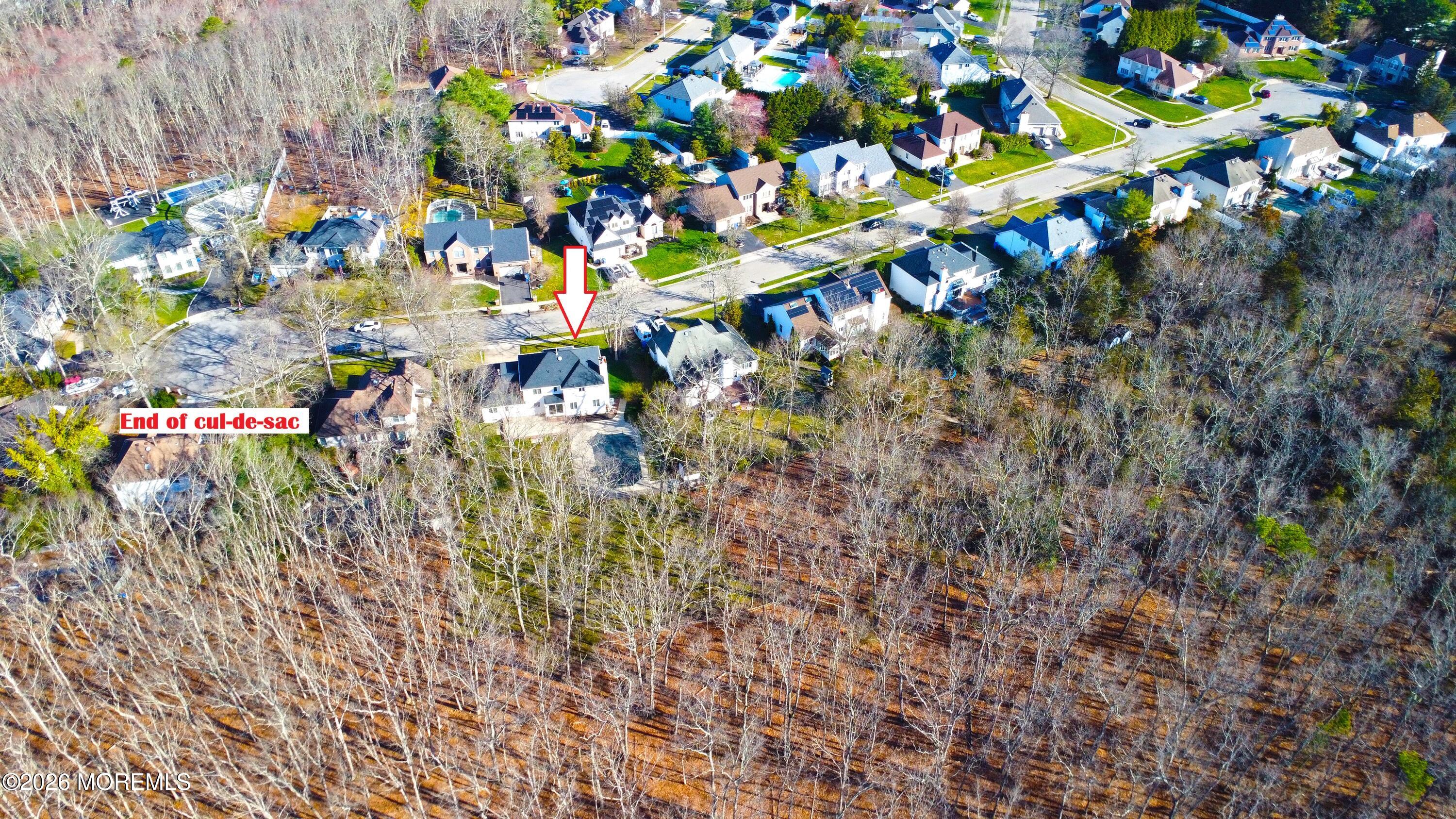 250 Bent Hook Road Toms River, NJ 08755 - Photo 3 of 63 a view of a tree with flowers