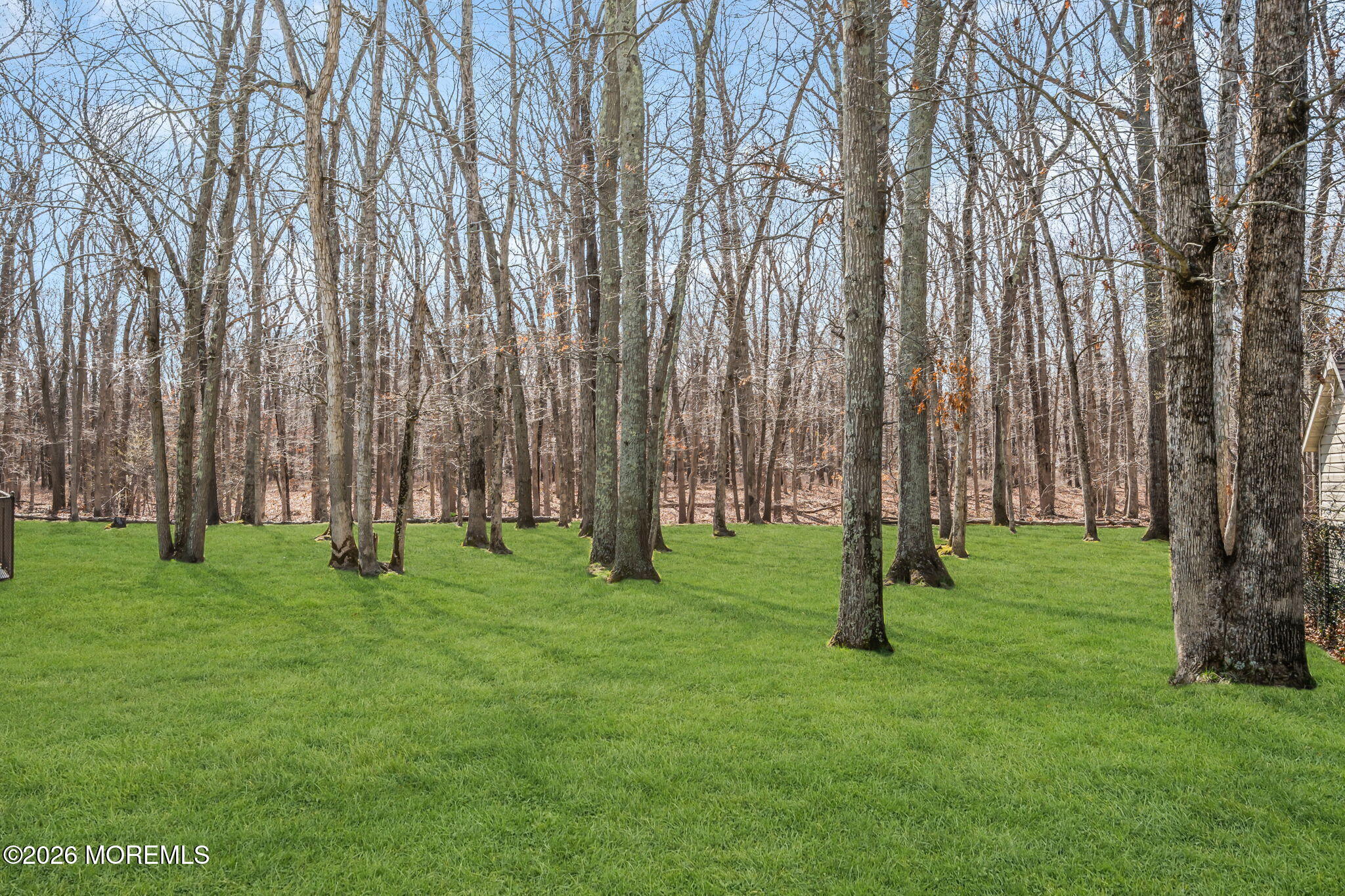 250 Bent Hook Road Toms River, NJ 08755 - Photo 59 of 63 NATURE-LIKE BACKYARD