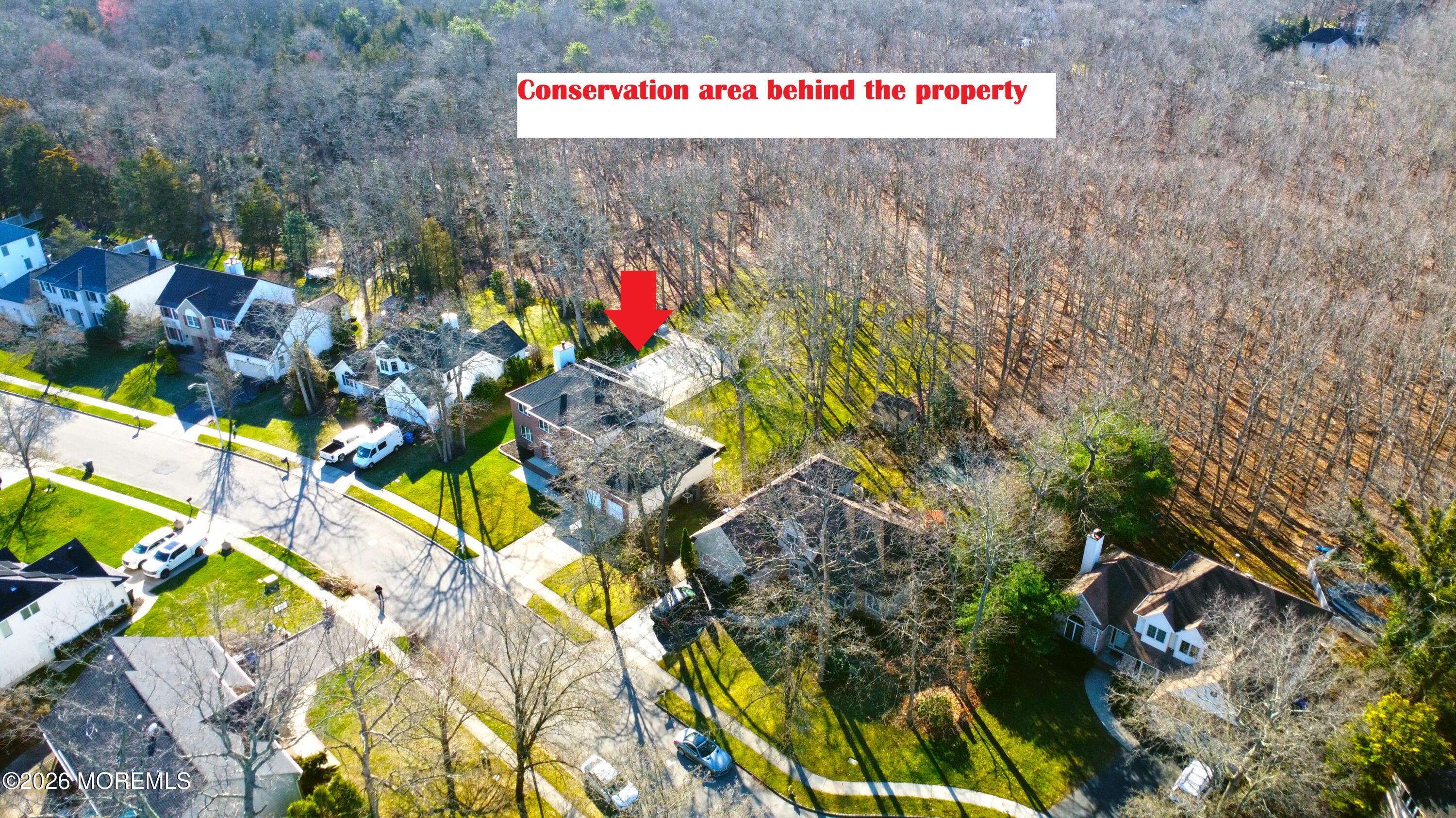 250 Bent Hook Road Toms River, NJ 08755 - Photo 61 of 63 CONSERVATION AREA BEHIND THE PROPERTY