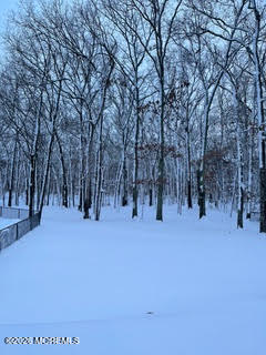 250 Bent Hook Road Toms River, NJ 08755 - Photo 63 of 63 a view of road and trees