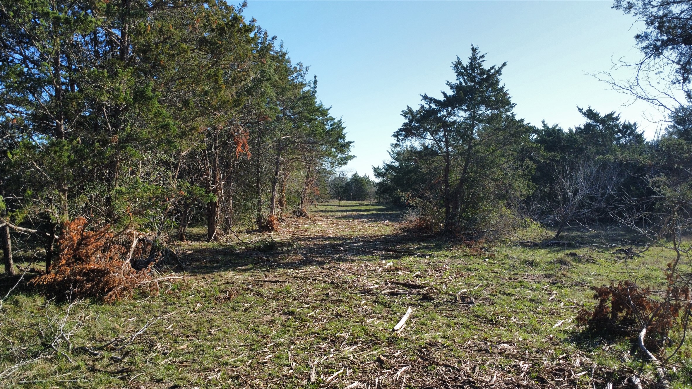 Tbd Lot 19 Tbd Road Flatonia, TX 78941 - Photo 4 of 6 View of nature