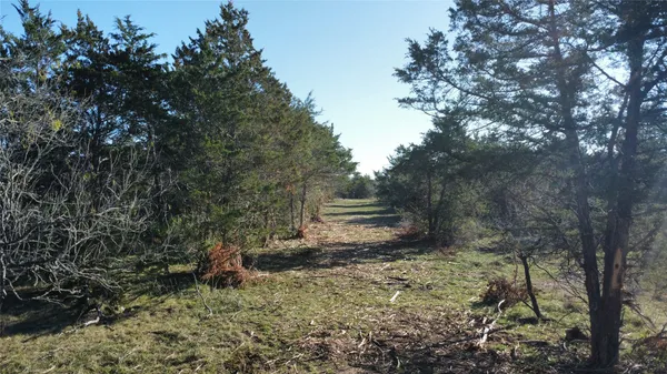 $144,900 | Tbd Lot 19 Tbd Road, Flatonia, TX 78941