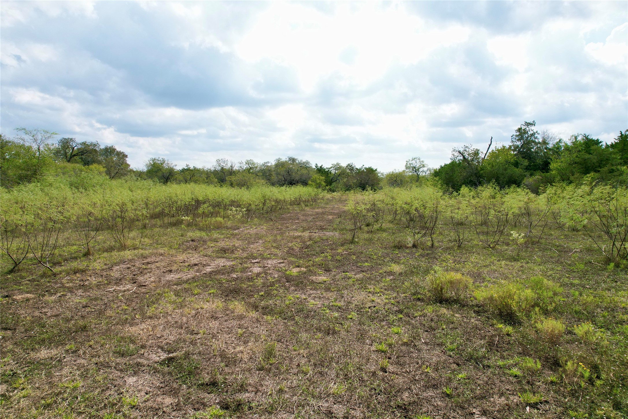 Tbd Lot 19 Tbd Road Flatonia, TX 78941 - Photo 6 of 6 View of undeveloped land featuring rural landscape