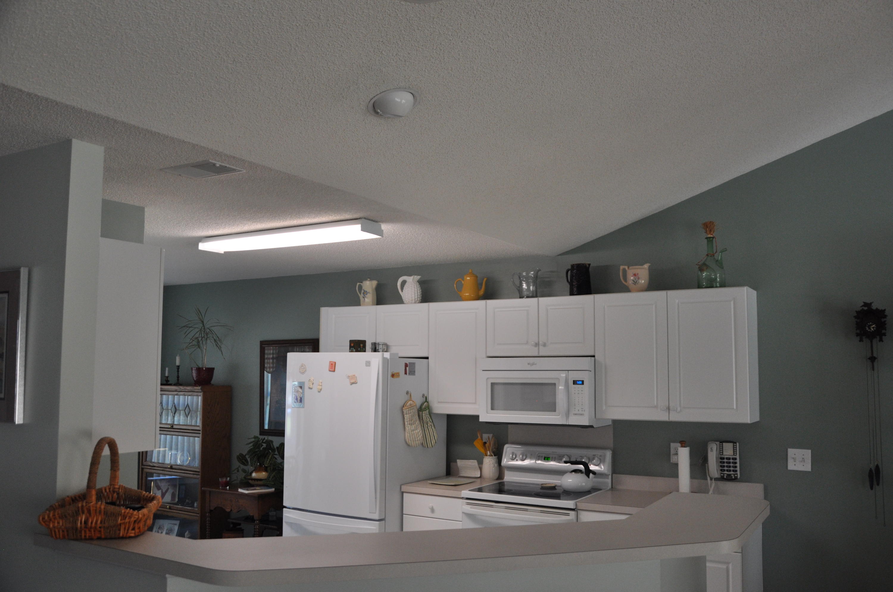 119 Walnut Creek Road Charleston, SC 29414 - Photo 9 of 41 2016-08-18 17.28.43