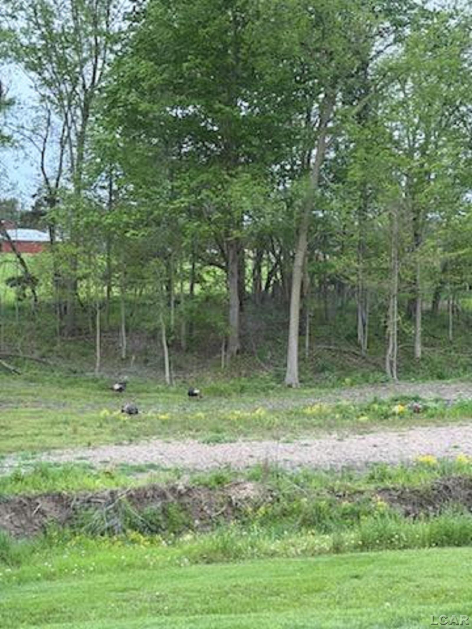 5397 Elm Road Hudson, MI 49247 - Photo 76 of 96