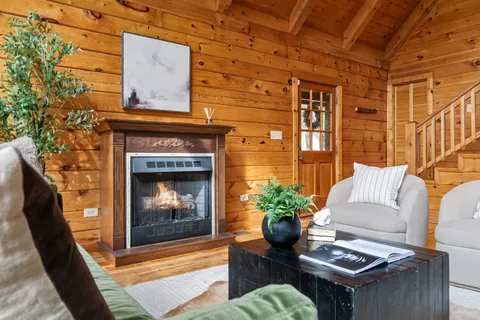a living room with furniture and a potted plant