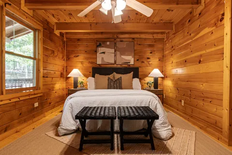 a view of a forest with trees