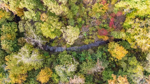 $850,000 | 5740 North Lick Creek Road, Franklin, TN 37064