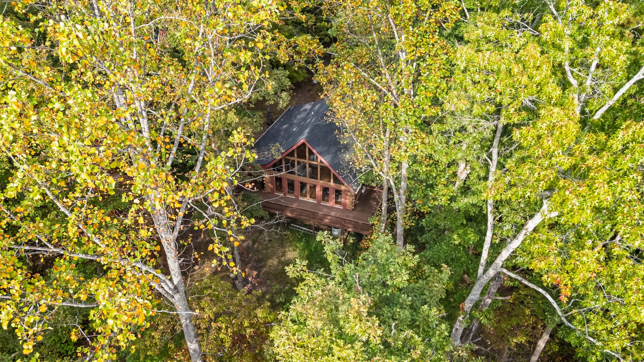 5740 North Lick Creek Road Franklin, TN 37064 - Photo 95 of 100