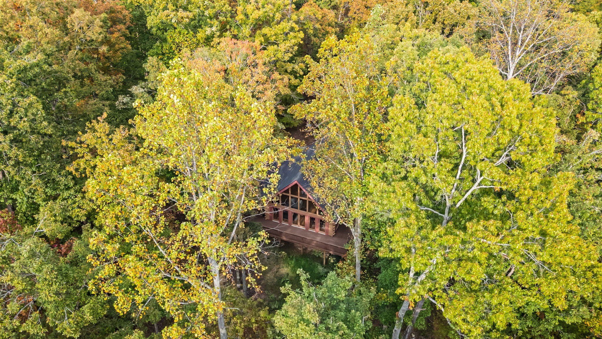 5740 North Lick Creek Road Franklin, TN 37064 - Photo 97 of 100