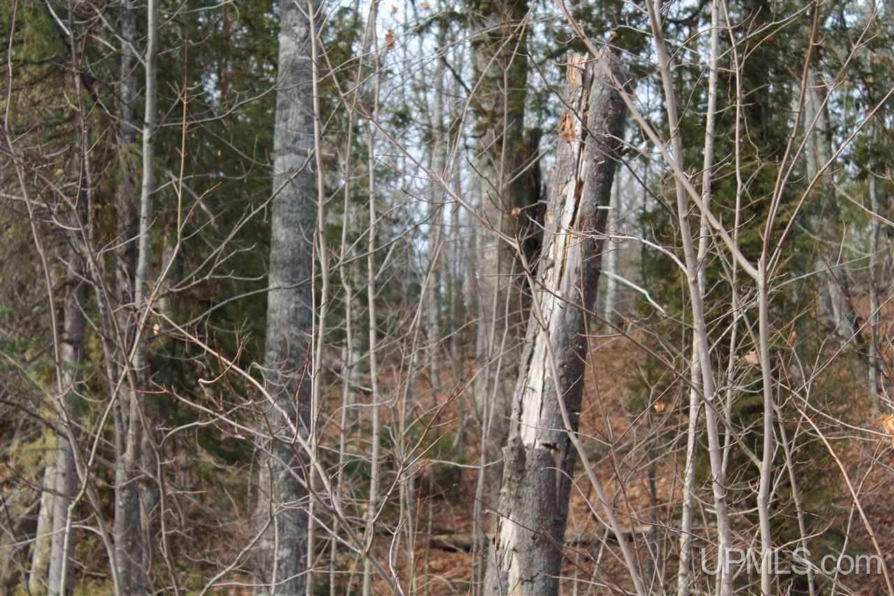 Tbd Tbd Off Mandan Loop Road Mohawk, MI 49950 - Photo 28 of 42
