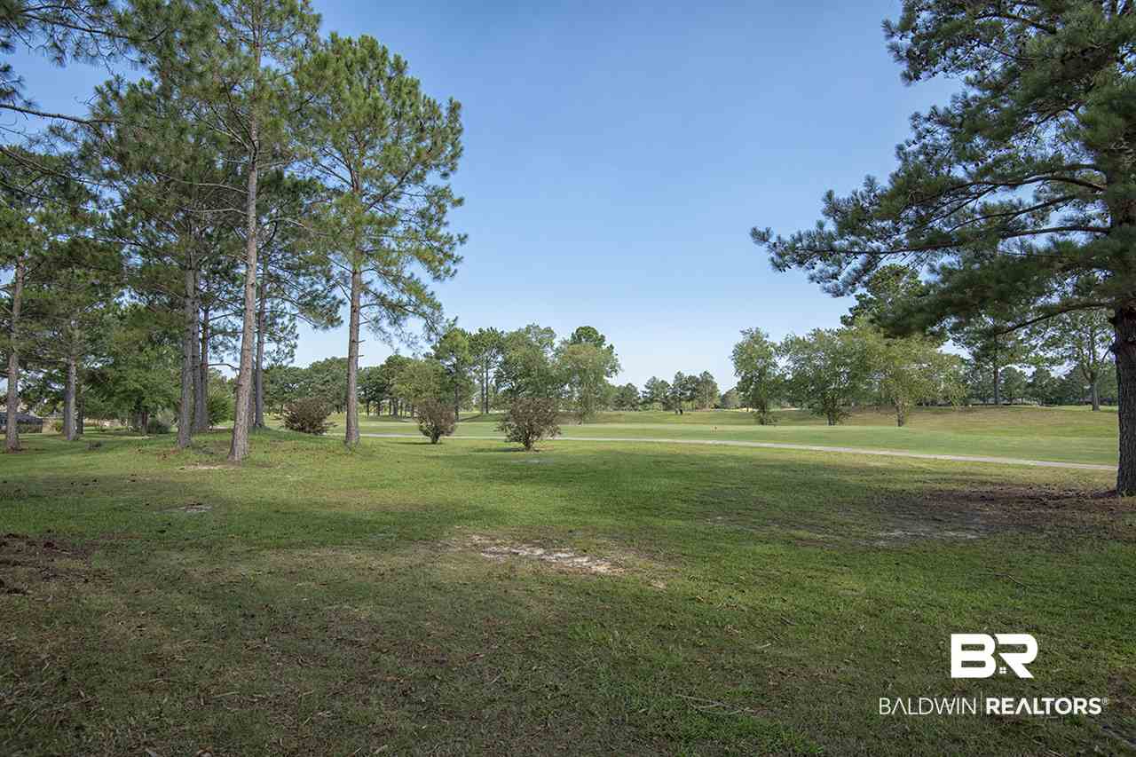 9449 Lakeview Drive Foley, AL 36535 - Photo 7 of 22
