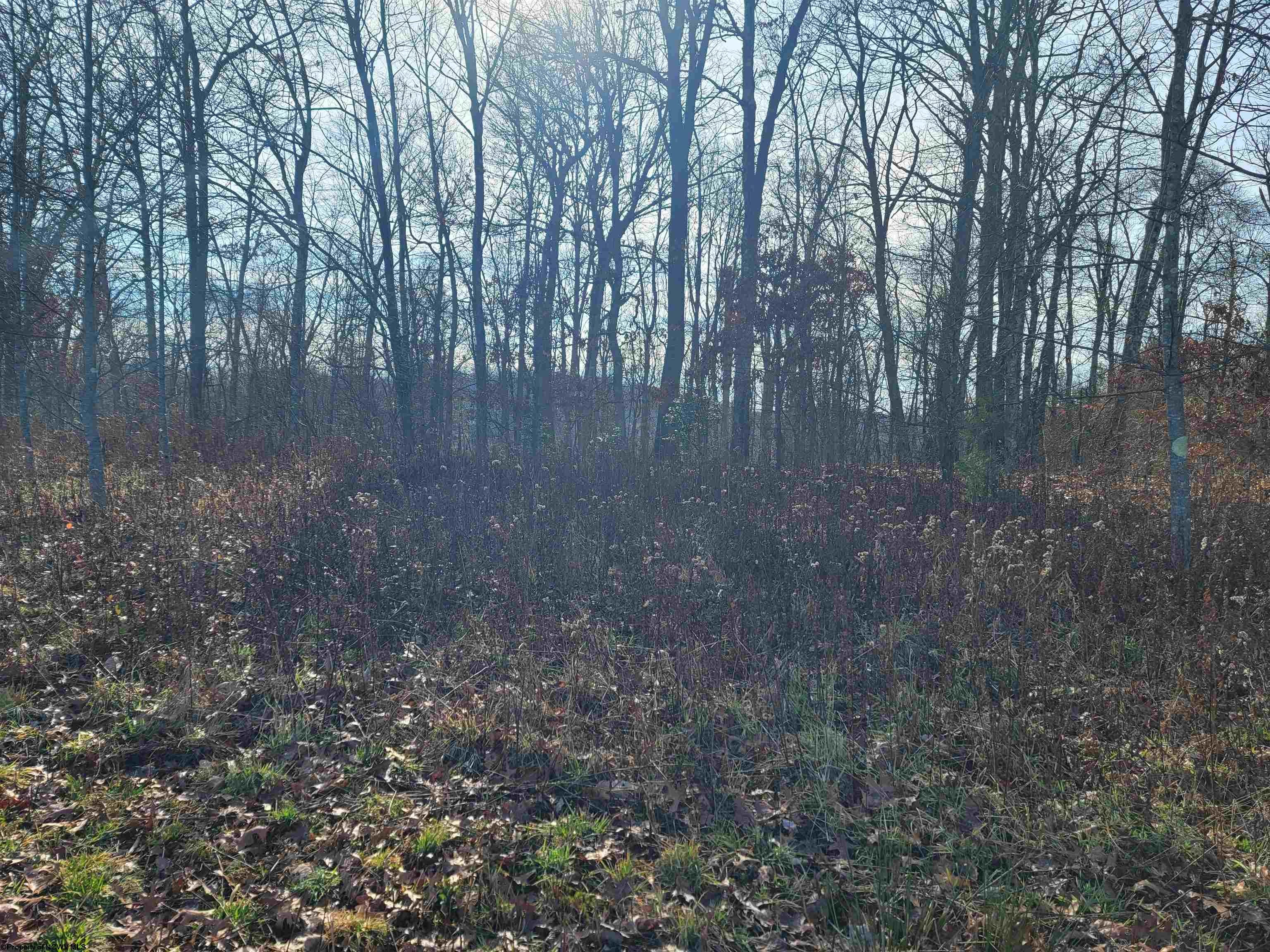 Lot 4 Sand Bank Reedsville, WV 26547 - Photo 15 of 15 Gallery Image 15