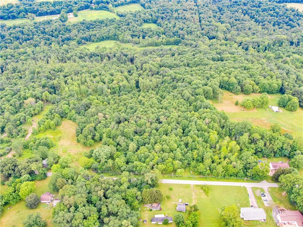 Lot # 6 Hillsville Road Edinburg, PA 16116 - Photo 1 of 1 a view of a yard with a tree