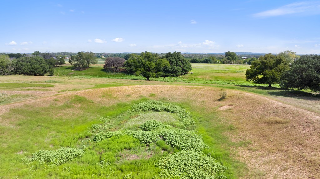 131 Elberta Street Stonewall, TX 78671 - Photo 20 of 71 a view of a big yard with large trees