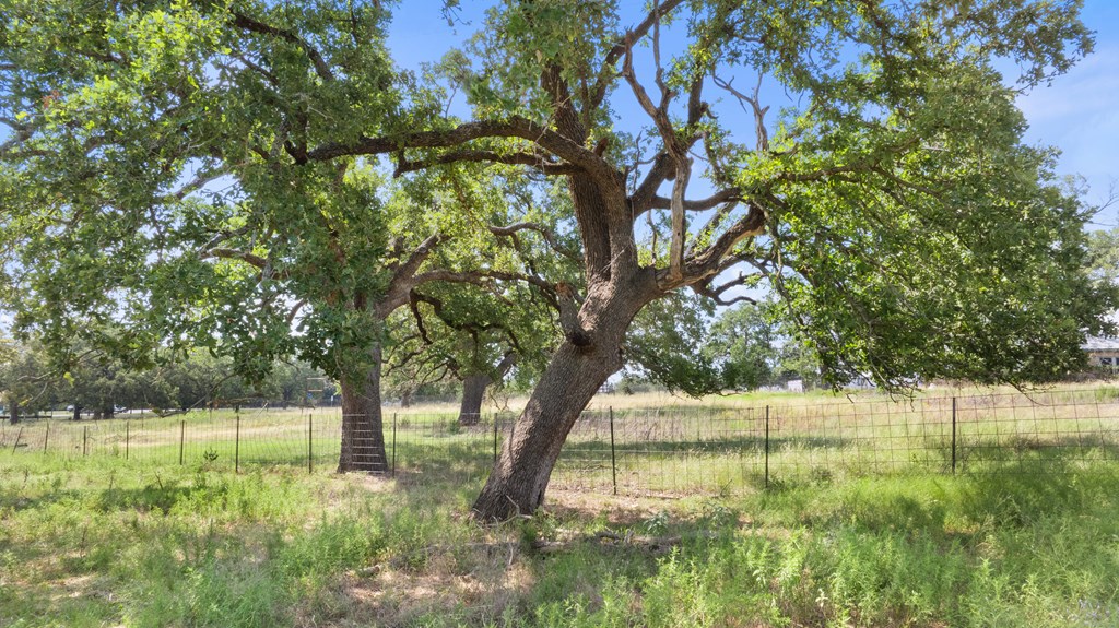 131 Elberta Street Stonewall, TX 78671 - Photo 22 of 71 a backyard of a house with lots of green space