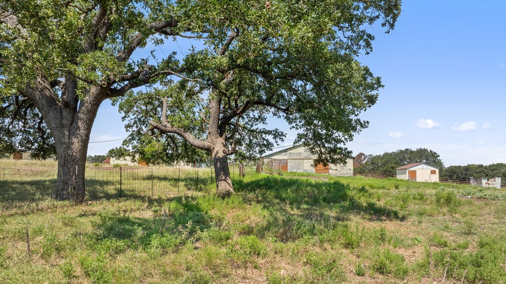 131 Elberta Street Stonewall, TX 78671 - Photo 44 of 71 a view of a yard with a tree