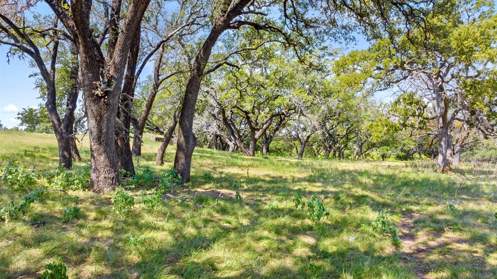 131 Elberta Street Stonewall, TX 78671 - Photo 46 of 71
