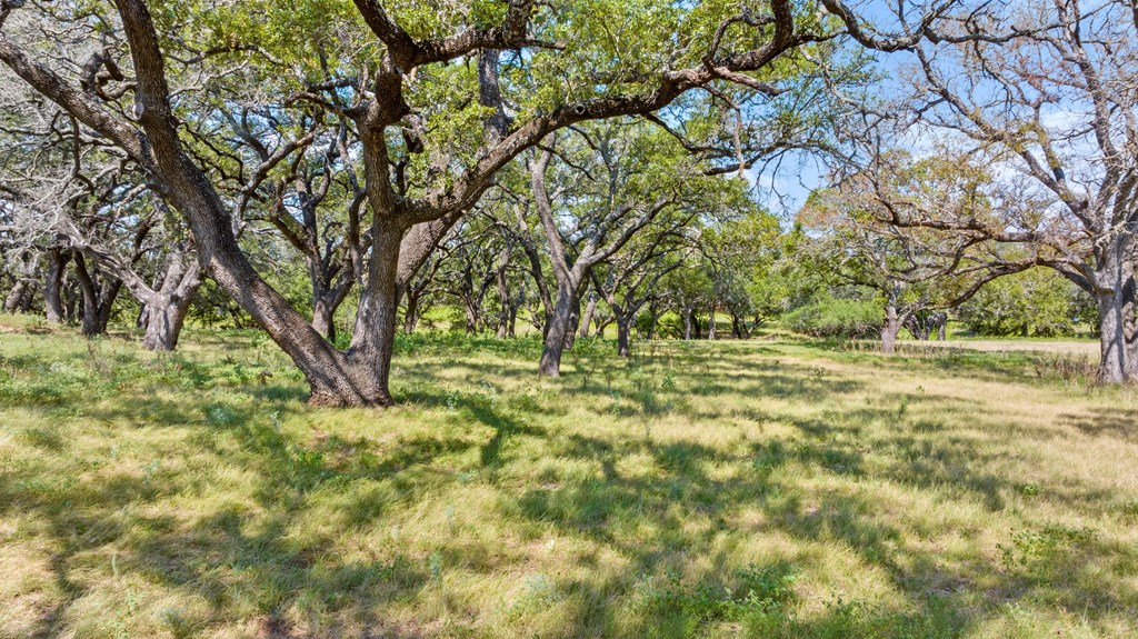 131 Elberta Street Stonewall, TX 78671 - Photo 47 of 71