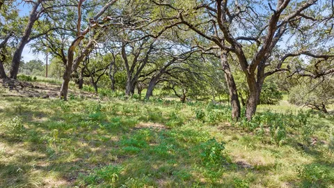 a view of a garden with an ocean beach