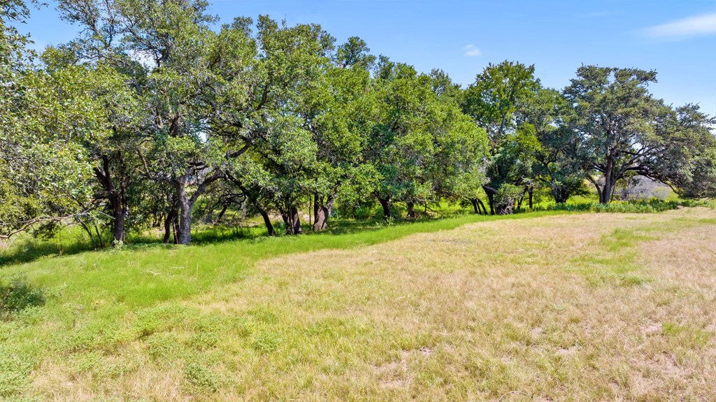 131 Elberta Street Stonewall, TX 78671 - Photo 51 of 71 a view of yard with green space