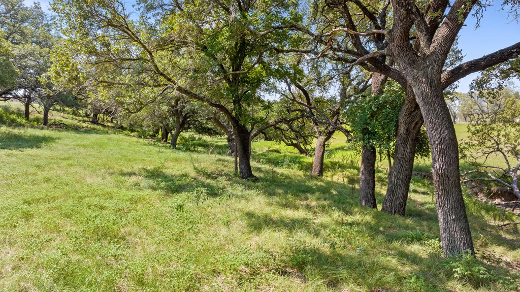 131 Elberta Street Stonewall, TX 78671 - Photo 52 of 71