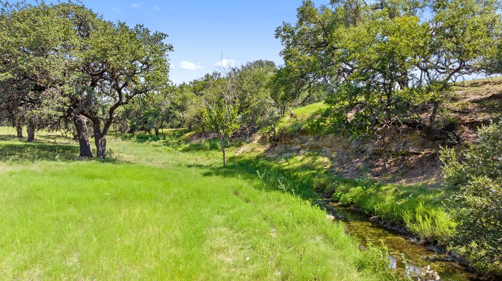 131 Elberta Street Stonewall, TX 78671 - Photo 54 of 71 a view of outdoor space with a garden