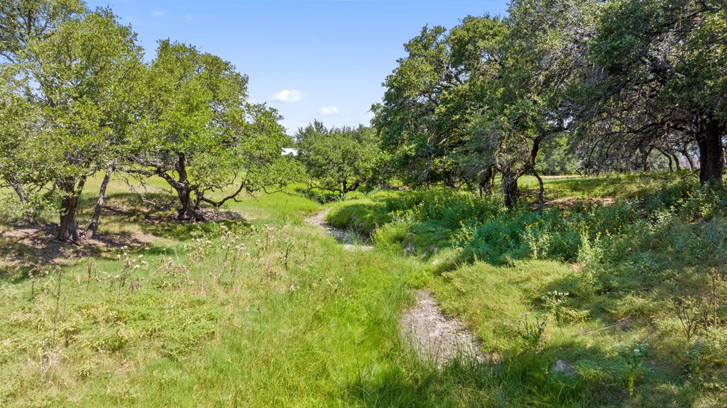 131 Elberta Street Stonewall, TX 78671 - Photo 55 of 71 a view of a garden