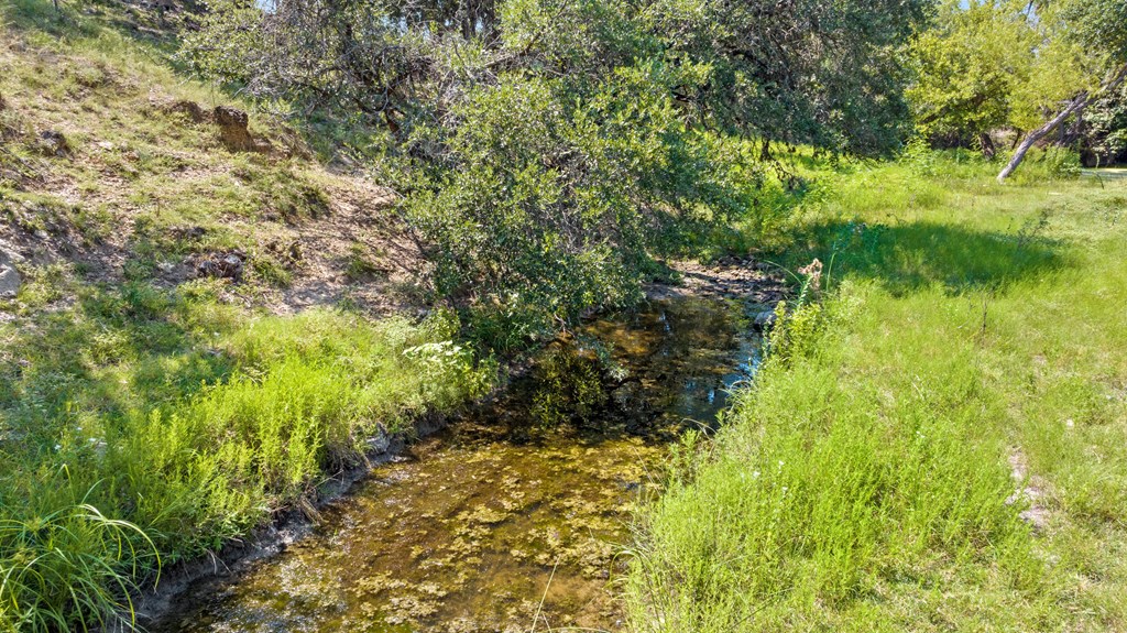 131 Elberta Street Stonewall, TX 78671 - Photo 56 of 71