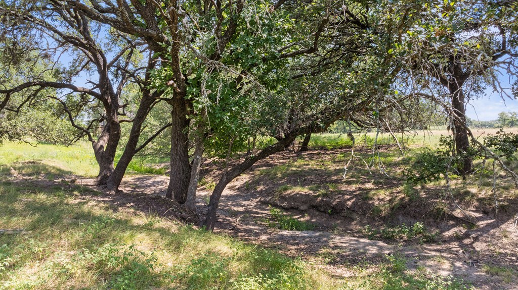 131 Elberta Street Stonewall, TX 78671 - Photo 59 of 71 a view of yard