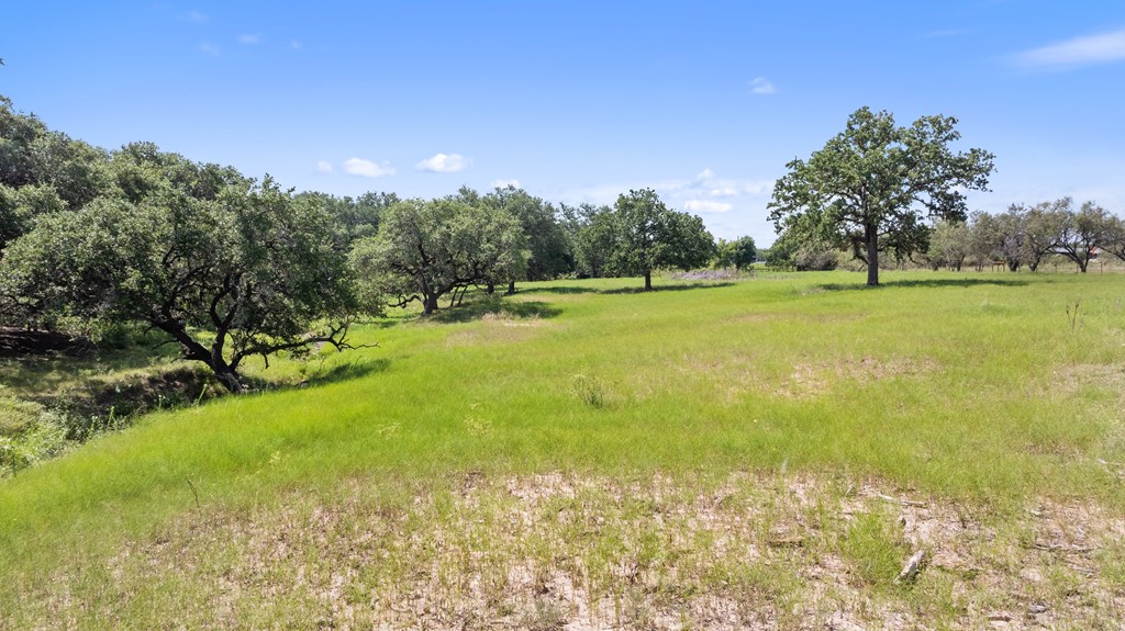 131 Elberta Street Stonewall, TX 78671 - Photo 60 of 71 a view of a lake with houses in the background