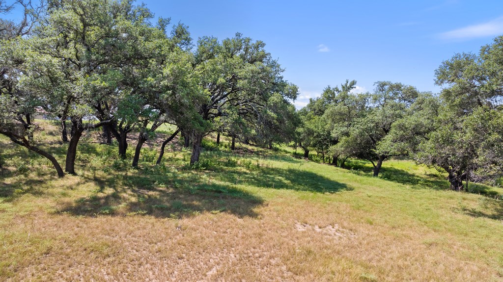 131 Elberta Street Stonewall, TX 78671 - Photo 63 of 71 a view of a yard with a tree