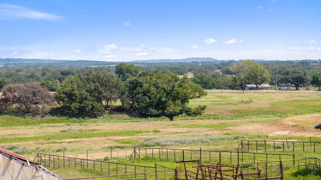 131 Elberta Street Stonewall, TX 78671 - Photo 67 of 71 a view of a garden with an ocean beach
