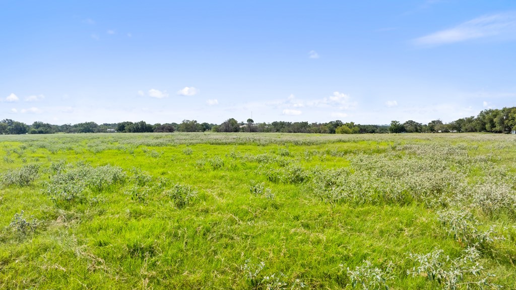 131 Elberta Street Stonewall, TX 78671 - Photo 10 of 71 a view of a field with an ocean
