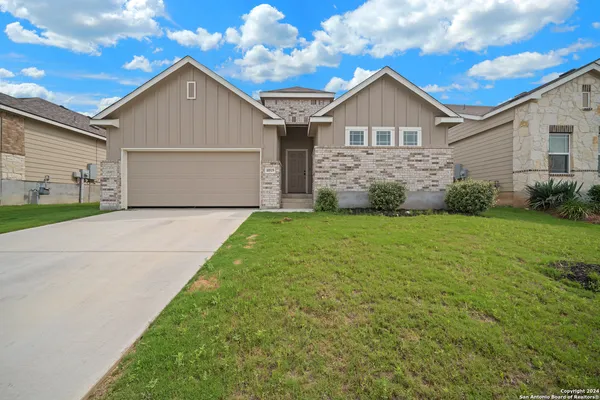 a view of a yard in front of a house with plants and large tree
