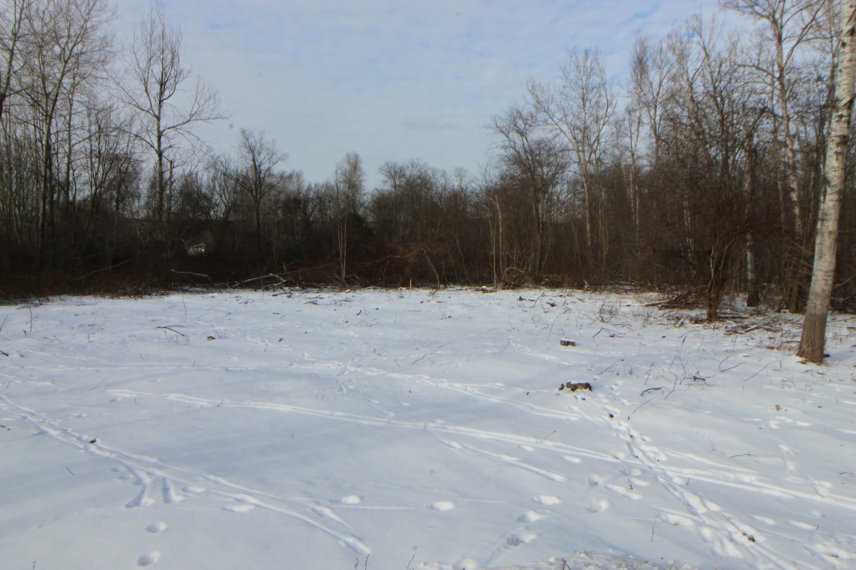 Lot 66 Town Farm Road Bucksport, ME 04416 - Photo 5 of 7 tempImageYH5k3t