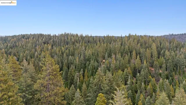a view of a city with lush green forest