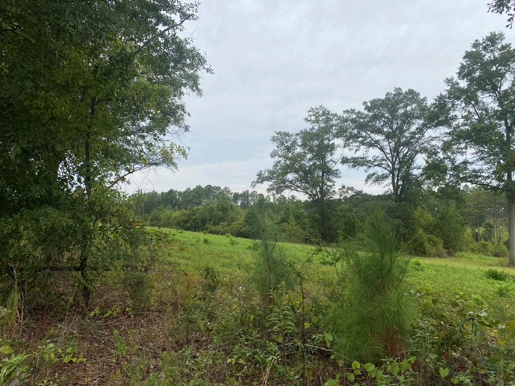 250 Adams Mill Road Clayton, AL 36016 - Photo 43 of 74