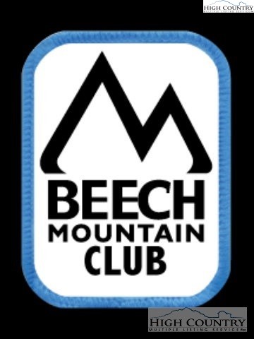 Gum Tree Road Elk Park, NC 28622 - Photo 2 of 2 a view of entryway