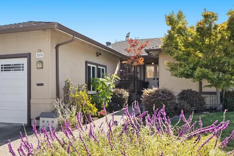 a front view of a house having yard