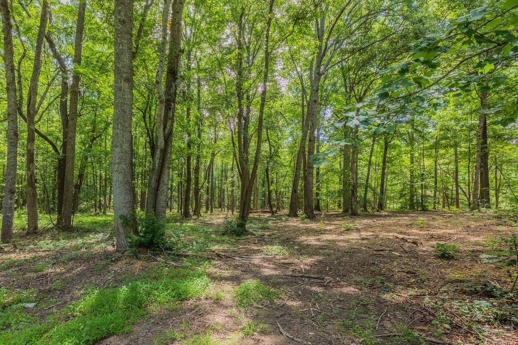 924 Spring Valley Road McMinnville, TN 37110 - Photo 56 of 60
