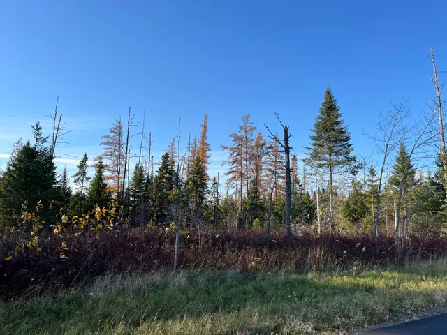 $49,500 | 0 Albair Road, Caribou, ME 04736